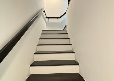 Bright modern staircase with black and white theme