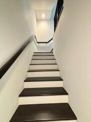 Bright modern staircase with black and white theme