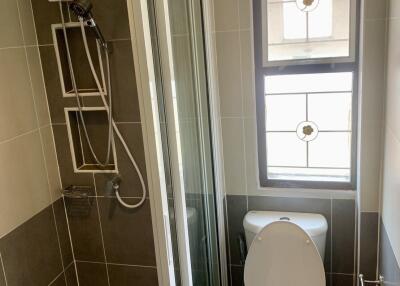 Compact bathroom with shower and toilet