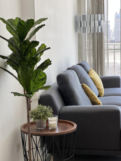 Modern living room with grey sofa and decorative plants