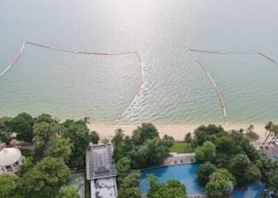 Aerial view of beachfront area with swimming pools and greenery