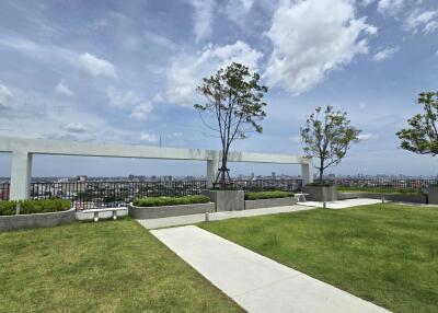 Rooftop garden with a city view