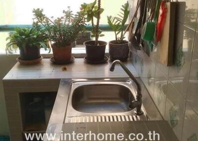 Small kitchen area with a sink, countertop, and plants near a window