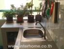 Small kitchen area with a sink, countertop, and plants near a window