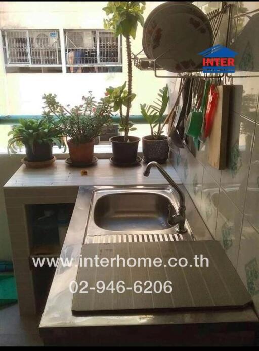 Small kitchen area with a sink, countertop, and plants near a window