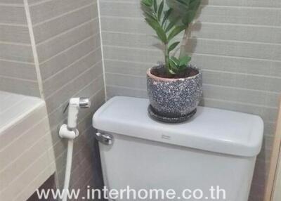 Bathroom with toilet and plant