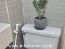 Bathroom with toilet and plant