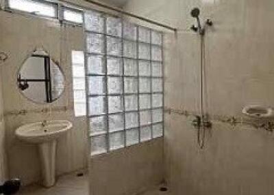 Spacious bathroom with shower, sink, and glass block partition