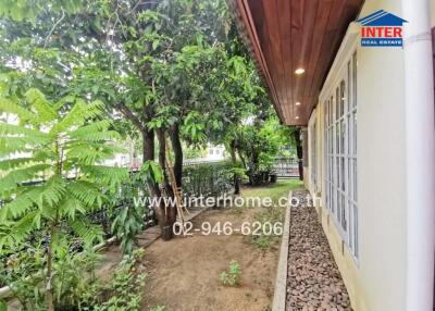 Side garden area with greenery and windows