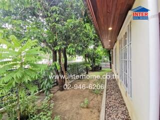 Side garden area with greenery and windows