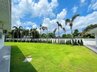 Spacious backyard with lush green lawn and palm trees under a bright blue sky