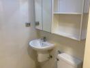 Modern bathroom with sink, toilet, and storage shelves