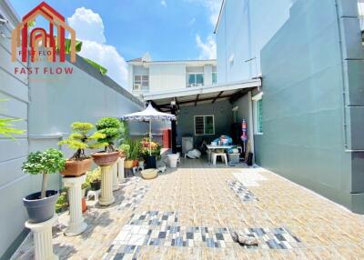 Sunny patio with plants and seating area