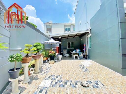 Sunny patio with plants and seating area