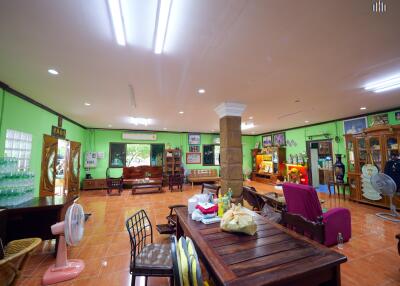 Spacious and brightly lit living area with vibrant green walls, featuring comfortable seating and wooden furniture.