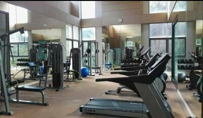 Well-equipped gym with various exercise machines