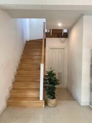 Indoor staircase with a wooden finish and a potted plant