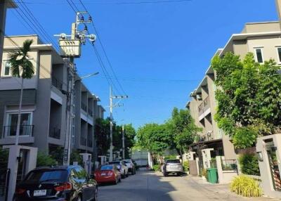 Street view of residential area with multi-story buildings