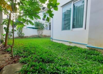 Backyard with green lawn and small trees