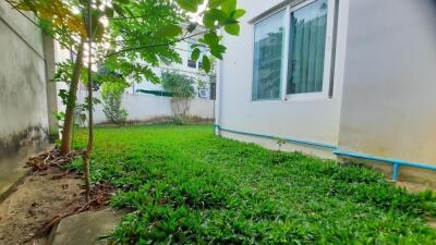 Backyard with green lawn and small trees