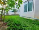 Backyard with green lawn and small trees