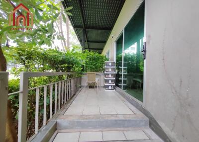 Outdoor patio area with steps, chair, shelf unit, and greenery