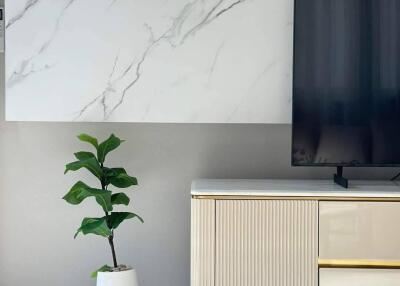 Modern living room with TV and plant