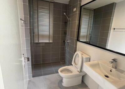 Modern bathroom with walk-in shower and large mirror