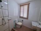 Modern bathroom with shower and window