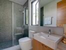 Modern bathroom with glass shower and window