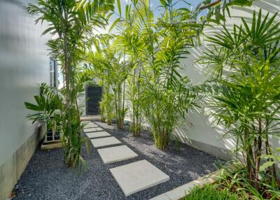 Outdoor garden with stepping stones and tropical plants