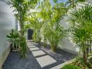 Outdoor garden with stepping stones and tropical plants