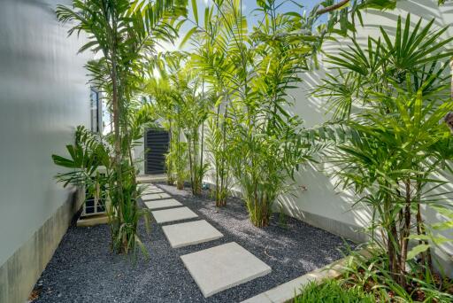 Outdoor garden with stepping stones and tropical plants