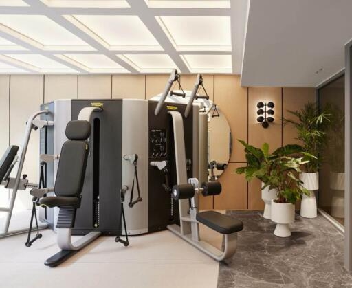 Modern in-house gym with exercise equipment and plants