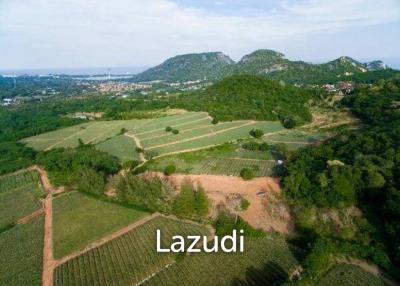 Beautiful and Exclusive Sea View Land of 3.9 Rai