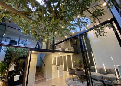 Modern living room with indoor tree and loft