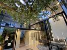 Modern living room with indoor tree and loft