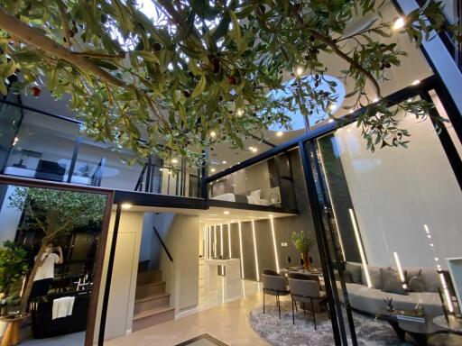 Modern living room with indoor tree and loft