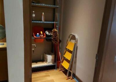 Utility closet with cleaning supplies and a ladder