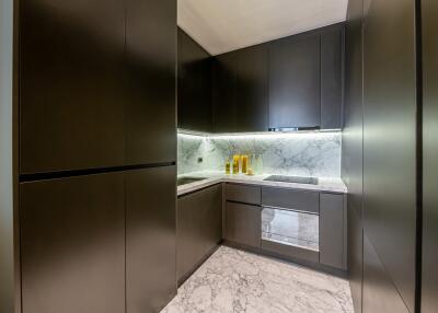 Modern kitchen with dark cabinets and marble backsplash