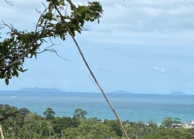 Ocean view with greenery in the foreground