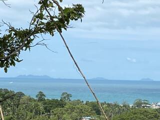 Ocean view with greenery in the foreground