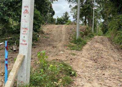 Dirt path leading through greenery