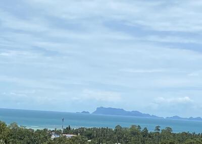 Scenic ocean view with distant islands and lush greenery