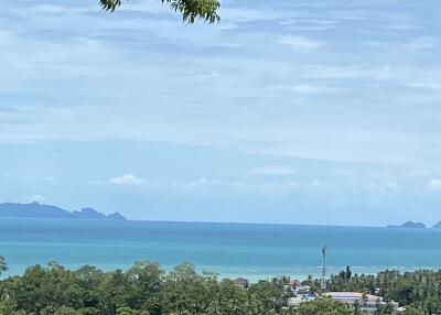 View of the ocean with trees and buildings