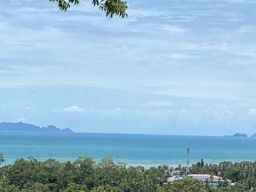 View of the ocean with trees and buildings