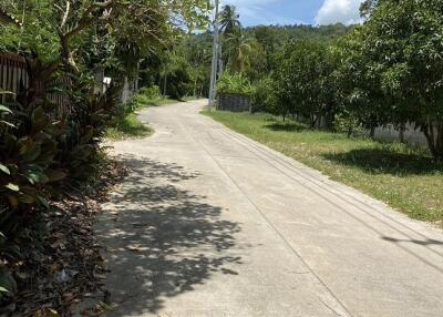 A quiet neighborhood road lined with trees and greenery