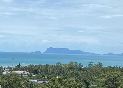 Scenic ocean view with lush greenery and distant islands