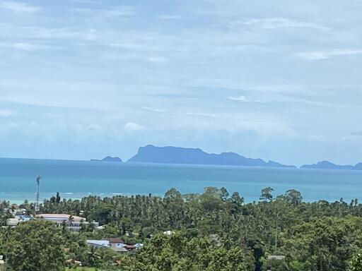 Scenic ocean view with lush greenery and distant islands