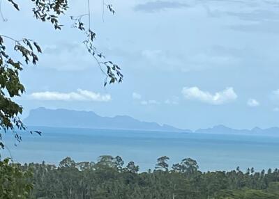 Scenic view of landscape with trees and ocean in the background